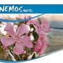 Anemos Hotel