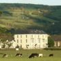 The Meadowsweet Hotel