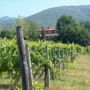 Agriturismo Paterna