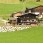 Haus Bartolot