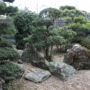 Kagyokuin