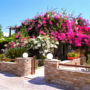 Dimitra Studios