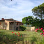 Casa Vacanze La Favilletta