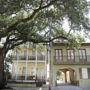 The Prytania Oaks