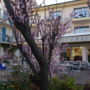 Hotel Le Clos