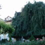 Park Hotel Villa Salzea