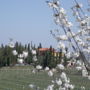 Agriturismo Casa Alle Vacche