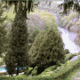 Le Moulin Noye