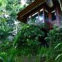 Natura Villa Ubud Bali