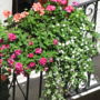 B&B Della Nonna