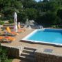 Apartments Vidak
