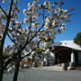 Marlborough Vintners Hotel - Heritage Boutique Collection