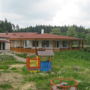 Sunny Farm