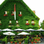 Hotel-Gasthof-Schiff