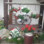Pension Katrin