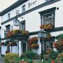 Bear Crickhowell