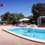 Lemar Garden