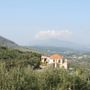 Olive Villas