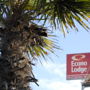 Econo Lodge Napier