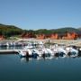 Arctic Seasport