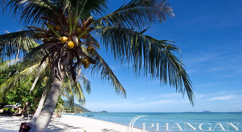 Foto of the hotel Phangan Beach Resort, Koh Phangan