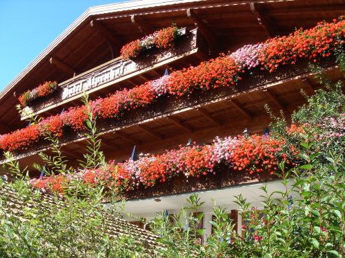 Hotel Alpenhof