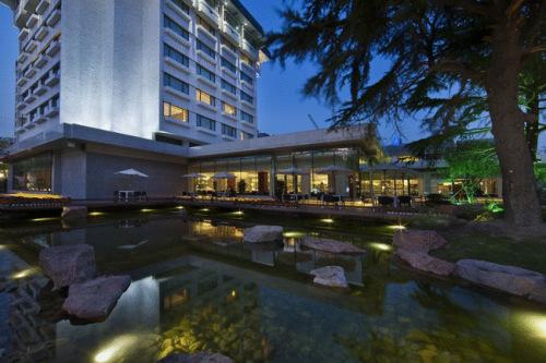 Отель The Dragon Hotel