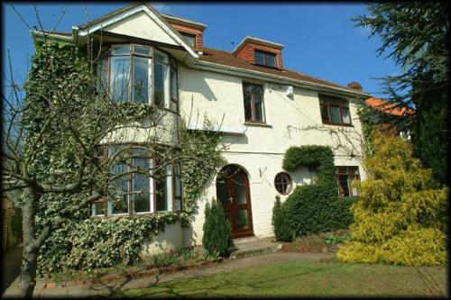 Hotel Harriet House Bed and Breakfast