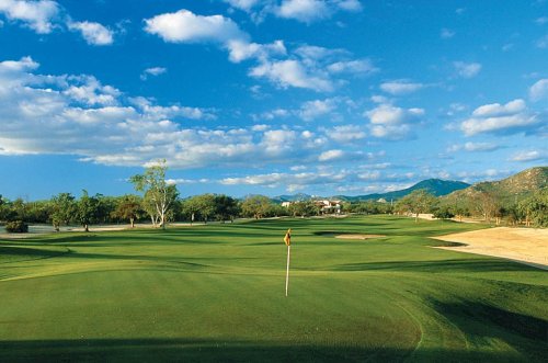 Hotel Los Cabos Golf Resort
