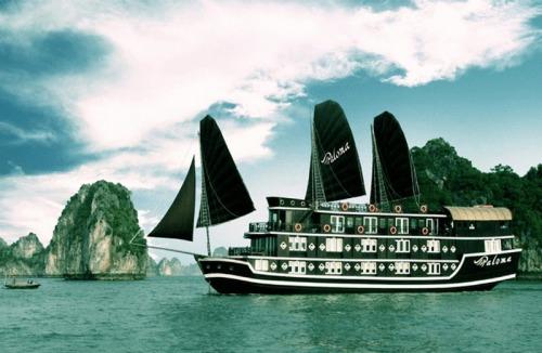 Отель Paloma Cruise