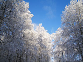 Russian winter