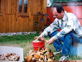 Picking the mushrooms