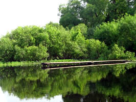 small bridge to Berezina river
