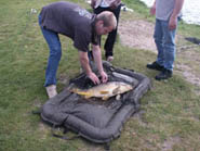 ����-����