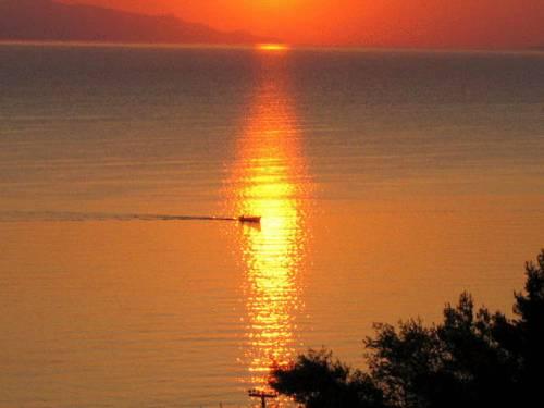 Foto von Angelica Villas Hotel Apartments, Ancient Epidaurus